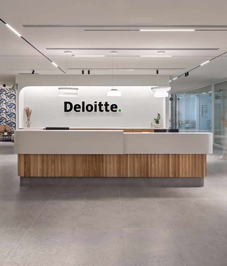 Delloite23-cover